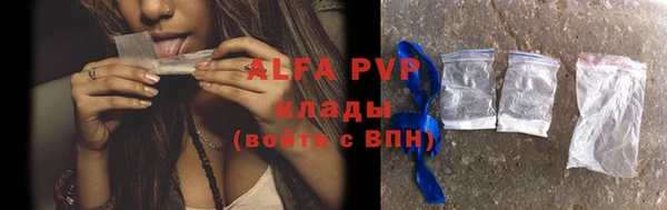 молекула духа Заводоуковск