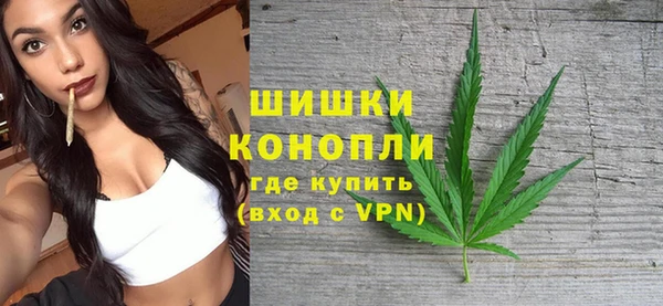 молекула духа Заводоуковск