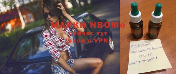 молекула духа Заводоуковск